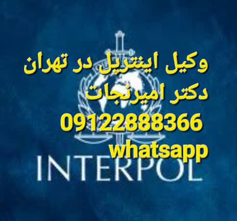 وکیل اینترپل در تهران احکام بین المللی را نیز اجرا می کند